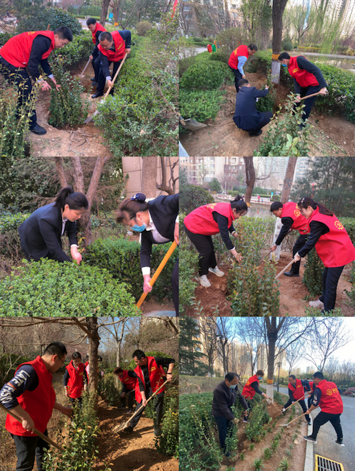 【涌光黨建】黨旗飄揚(yáng)踐初心 植樹(shù)添綠正當(dāng)時(shí)丨魯商服務(wù)濟(jì)南城市公司黨支部開(kāi)展植樹(shù)節(jié)主題黨日活動(dòng)